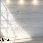 רקע צילום מויניל – גודל גדול